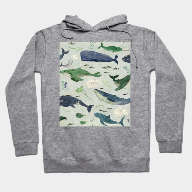 Cabbage whales Hoodie by katherinequinnillustration